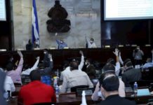 Diputados aprueban el uso de sesiones legislativas virtuales