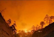 Pavoroso incendio forestal consume cientos de hectáreas en Zambrano