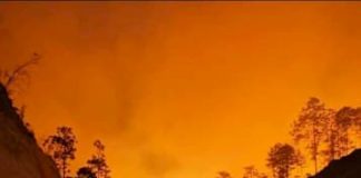 Pavoroso incendio forestal consume cientos de hectáreas en Zambrano