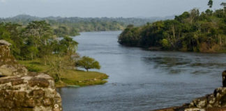 Indígenas denuncian envenenamiento de ríos en reserva biológica en Nicaragua