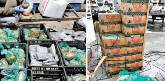 Verduras que escondían cocaína serán donadas a asilos en Bolivia por COVID-19