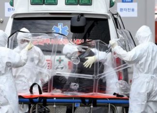 Brote de coronavirus predominante en Europa probablemente comenzó en Italia