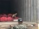 Agentes policiales decomisan 2,500 libras de supuesta marihuana en Tegucigalpa