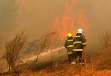 Los incendios forestales afectaron 90.547 hectáreas de bosques en Honduras durante 2021