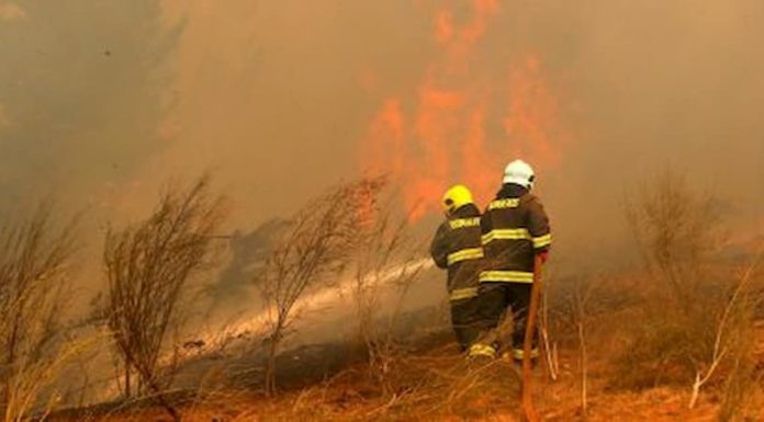 Los incendios forestales afectaron 90.547 hectáreas de bosques en Honduras durante 2021