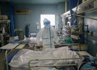 Honduras suma 30 nuevos contagios y 22 decesos por COVID- 19