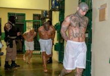 Presidente salvadoreño autoriza a usar fuerza letal para enfrentar pandillas