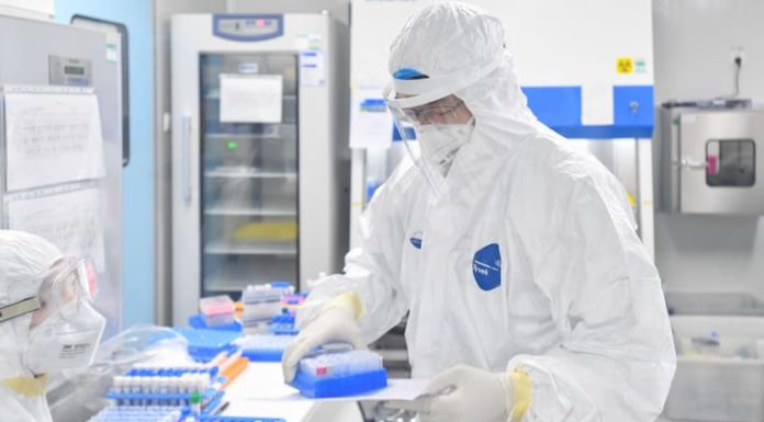 OMS: un 70 % de la humanidad deberá vacunarse para el fin de la pandemia