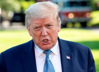 Expertos republicanos en seguridad nacional dicen que Trump es «inepto»