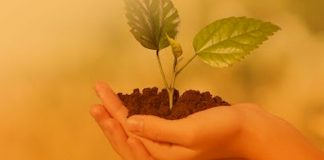 ONU pide no olvidar parte ambiental en recuperación económica pos-COVID-19