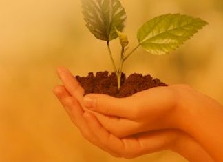 ONU pide no olvidar parte ambiental en recuperación económica pos-COVID-19