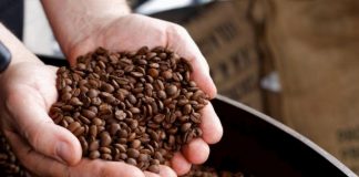 Exportaciones hondureñas de café bajan 18,5 % en 8 meses de cosecha 2019-2020
