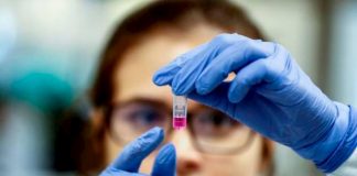 Vacuna candidata indujo en macacos anticuerpos para la COVID-19 con resultados positivos