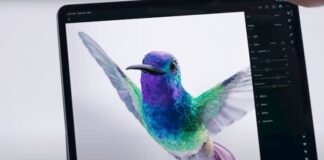 Apple se inspira con la belleza del colibrí esmeralda para su nueva campaña