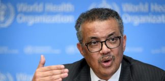 El nuevo coronavirus es de origen natural, según la OMS