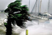 Haití registra 31 muertes y 8 desaparecidos tras el paso de la tormenta Laura