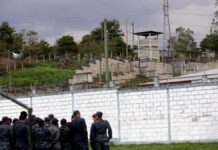 Unos 28 privados de libertad de la Penitenciaría Nacional son positivos de COVID-19