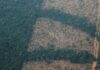 La deforestación en la Amazonía amenaza con nueva ola de incendios