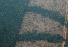 La deforestación en la Amazonía amenaza con nueva ola de incendios