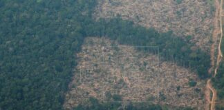 La deforestación en la Amazonía amenaza con nueva ola de incendios