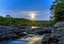 Expertos piden más coordinación para proteger la biodiversidad de la Amazonia