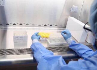 Honduras ya suma 343 muertos y 10.739 contagiados por la COVID-19