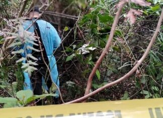 Hallan cuerpo de infante de 4 años con signos de violación en Islas de la Bahía