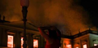 Un incendio destruye parte de un museo de historia natural en Brasil