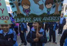 Fulminante despido de jefe forestal de Perú preocupa a defensores de bosques