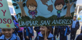 Fulminante despido de jefe forestal de Perú preocupa a defensores de bosques