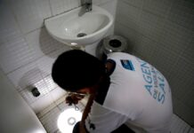 Nueva cepa de zika identificada en Brasil puede causar otra epidemia