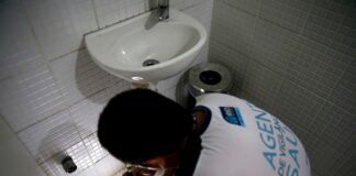 Nueva cepa de zika identificada en Brasil puede causar otra epidemia