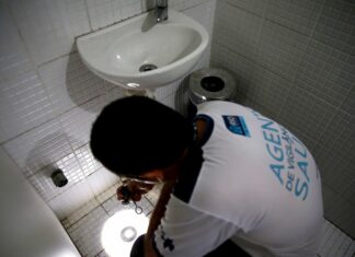 Nueva cepa de zika identificada en Brasil puede causar otra epidemia