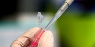 Sudáfrica, primer país africano en sumarse a ensayo de vacuna contra COVID-19