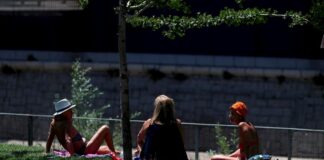 Estudio encuentra relación entre acumulación de hierro en cerebro y alzhéimer