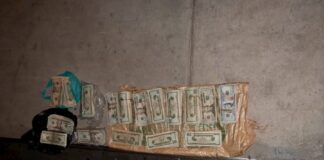 Policía Nacional detiene a hombre que transportaba 17 paquetes de dólares en la zona sur