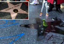 La estrella de Trump en Hollywood aparece teñida de negro