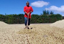 El déficit comercial hondureño baja 27 % en 4 meses por alza de exportaciones