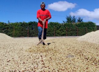 El déficit comercial hondureño baja 27 % en 4 meses por alza de exportaciones