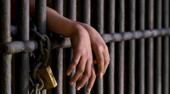 Casi 5 años de cárcel para hombre que envió rata muerta a su exesposa en EEUU