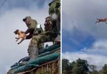 Investigan a un soldado colombiano por lanzar un perro al vacío