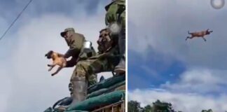 Investigan a un soldado colombiano por lanzar un perro al vacío