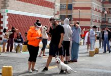 Un fuerte sismo de magnitud 7,5 sacude el sur y centro de México