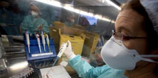 La farmacéutica Regeneron inicia fases avanzadas de fármaco contra COVID-19