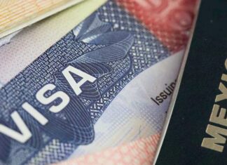 Trump congela emisión de nuevos visados para algunas profesiones hasta 2021