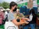 Bélgica estudia más medidas por repunte de coronavirus, sobre todo en Amberes belgica