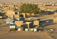 Confirmados los primeros 4 casos de coronavirus en los campamentos saharauis refugiados de Dajla