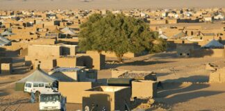 Confirmados los primeros 4 casos de coronavirus en los campamentos saharauis refugiados de Dajla