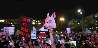 El viceministro israelí califica la manifestación de «ataque terrorista sanitario» isarel