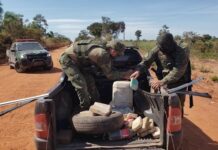 Brasil dobla sus incautaciones de marihuana en plena pandemia